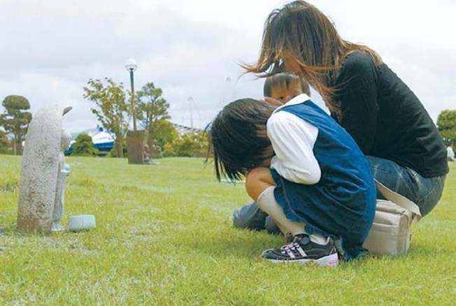 日本,熊本县,水俣病,水俣公约