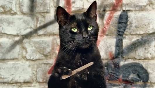 地铁广告商业化太重 伦敦的创意者呼吁把海报换成喵星人的萌照