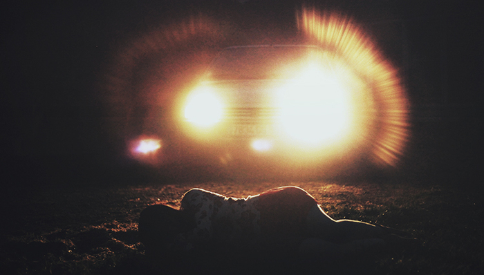 深圳女教师乘坐滴滴顺风车被司机杀害