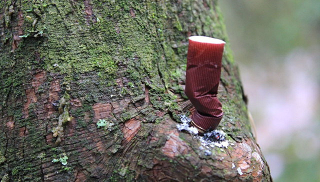 上海,公共场所,吸烟,室内吸烟室