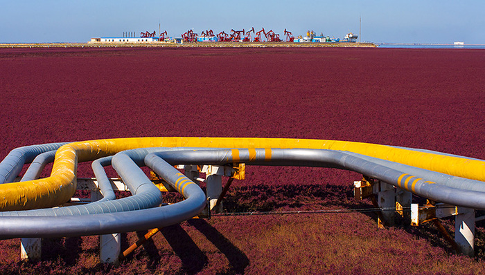 中国地炼放慢原油进口