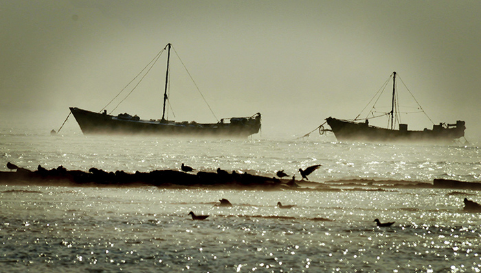 海洋岛两渔船失联