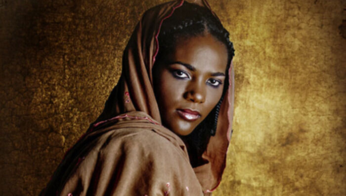 非洲,女性,传统服饰