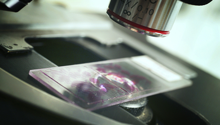 人民大学,雷洋,昌平,嫖娼