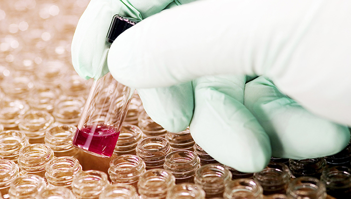 雷某尸检委托鉴定单位进行