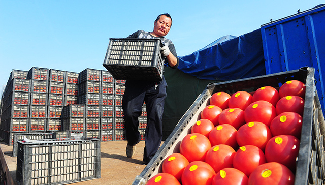 避开阿里京东在农资电商市场掘金