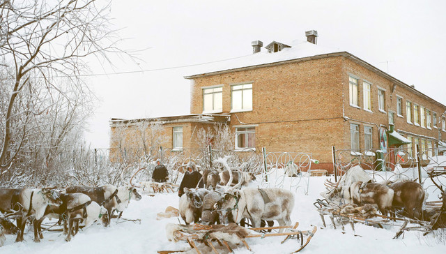 涅涅茨人,学校,俄罗斯