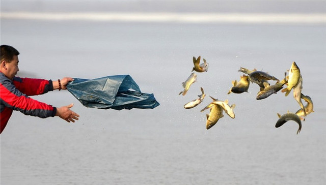 农业部,国家宗教事务局,水生生物,放生