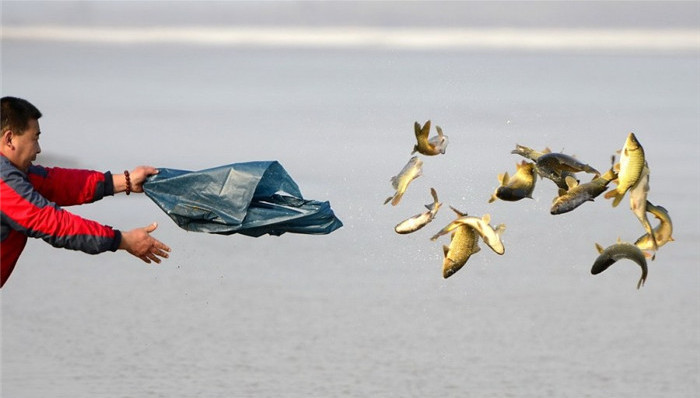 农业部,国家宗教事务局,水生生物,放生