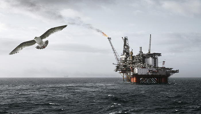 胡洪高,小雷,游客,钢琴,尼龙绳,医院急诊室,派出所,厦门鼓浪屿,防晒服,高血糖