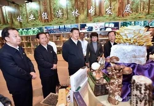 新合唱,司马童,老工业基地振兴,发展新路,黑瞎子岛,总书记,十三五,大招,创新链,林区