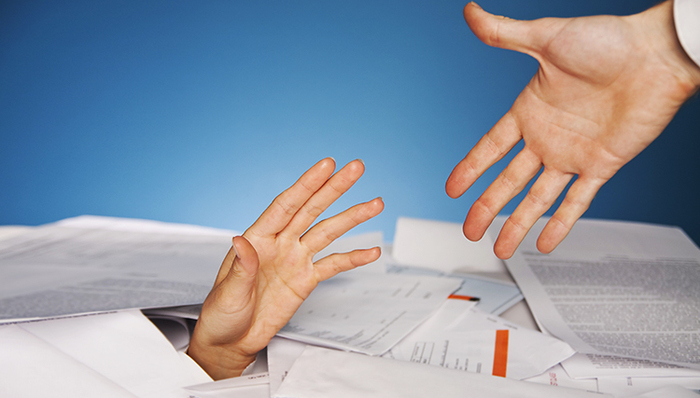 曾经造假被查的蓝田股份要重回A股