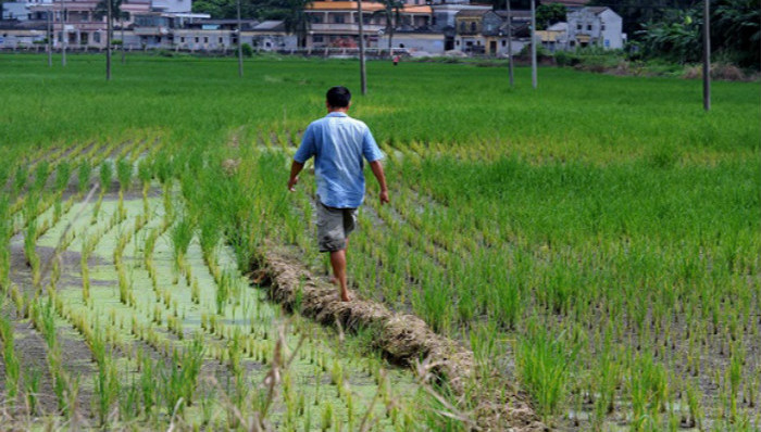 土壤污染，国务院