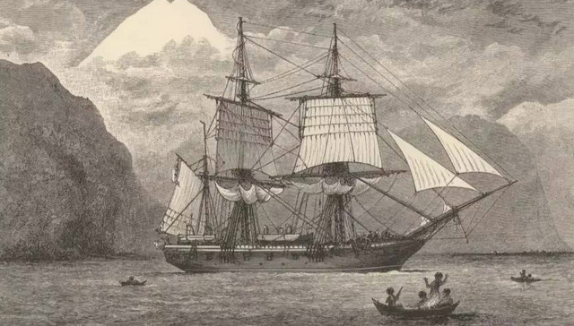 重建博物学：薛晓源对话陈燮君、曹可凡