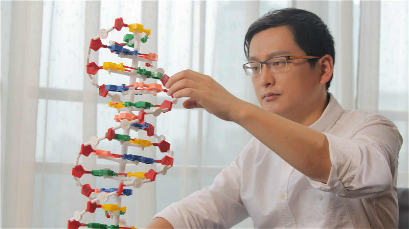 王思聪们的爆料狂欢，姬十三与分答面前的岔路口