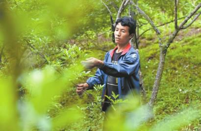 “悬崖村”村民能够通过智能手机与外界保持联系。