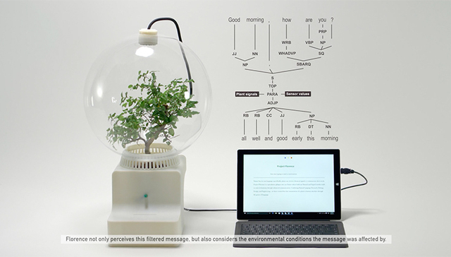 微软，植物交流