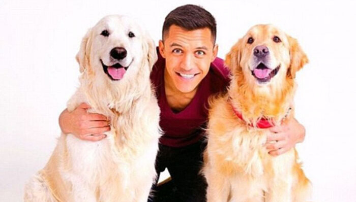 以梅西、内马尔为代表的足球圈“狗奴” 个个对狗狗宠得不行