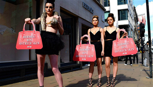 善待动物组织在爱马仕股东大会上发难：何时停止使用珍稀兽皮？