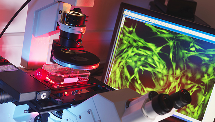 中源协和终止收购柯莱逊