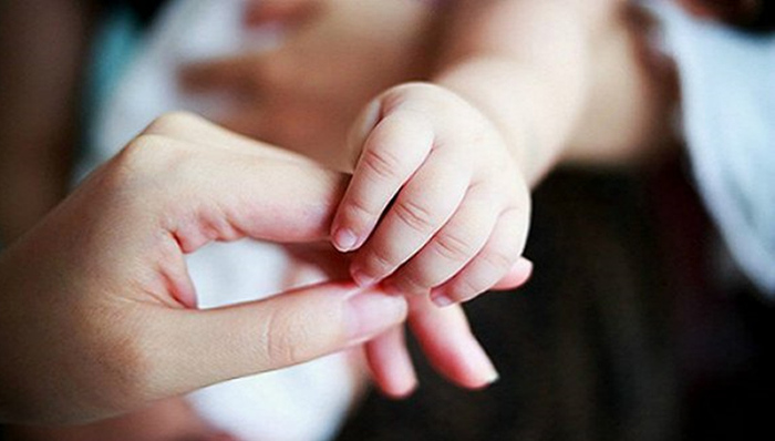 冤案，城市发展，公司管理