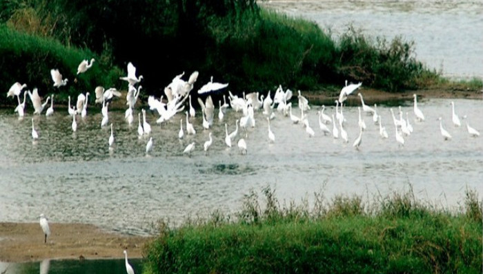 生态文明奖，环保