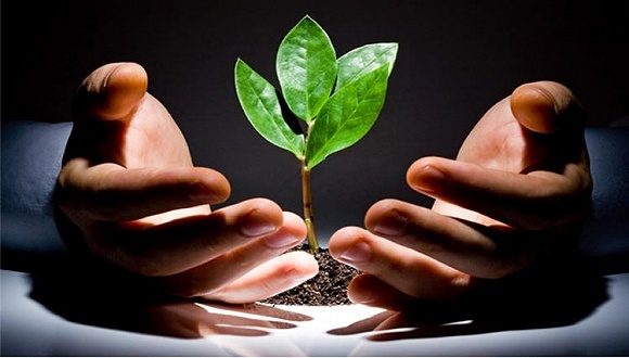 习近平绿色发展理念引领中国环境治理新实践