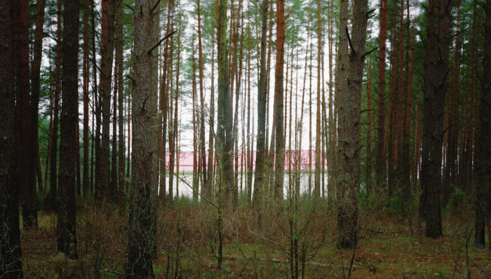 美国,间谍,秘密警察,恐怖