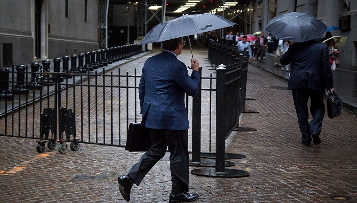 麦肯锡,投资公司,利润