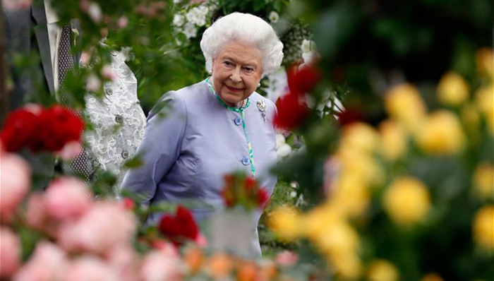 如何华丽地变美私人花园？英国女王都去切尔西花展偷师！