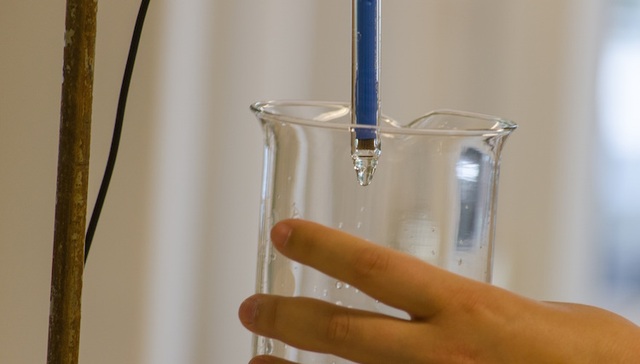 复旦投毒案，黄洋