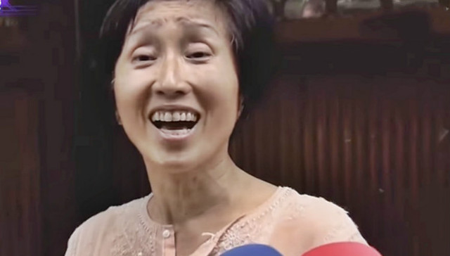 台湾,中国难民,,台独