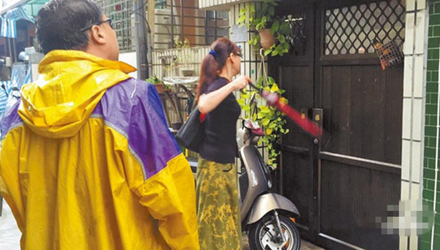 台湾,中国难民,鸡蛋,台独