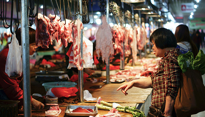 猪周期还能用几次