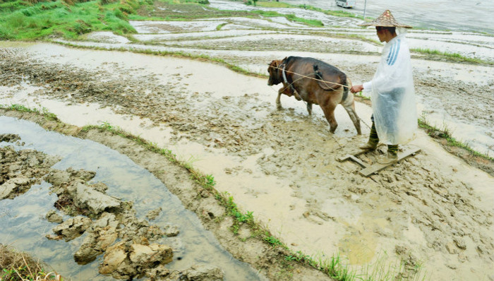 海南,光棍村,女孩