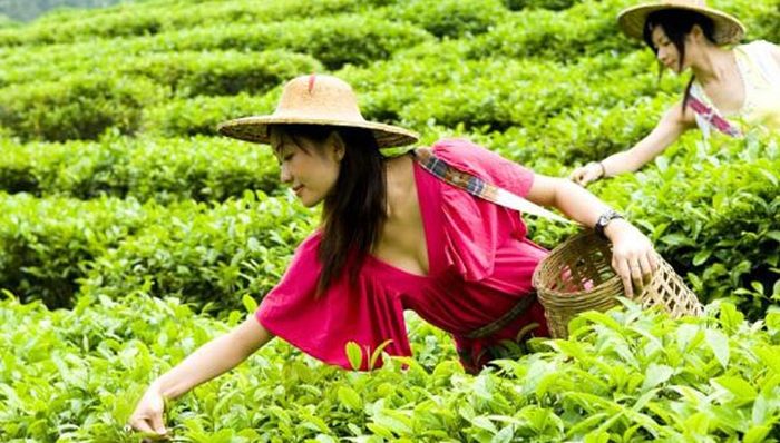 【治国理政新实践·贵州篇】守住两条底线，奋力后发赶超，多彩贵州走新路