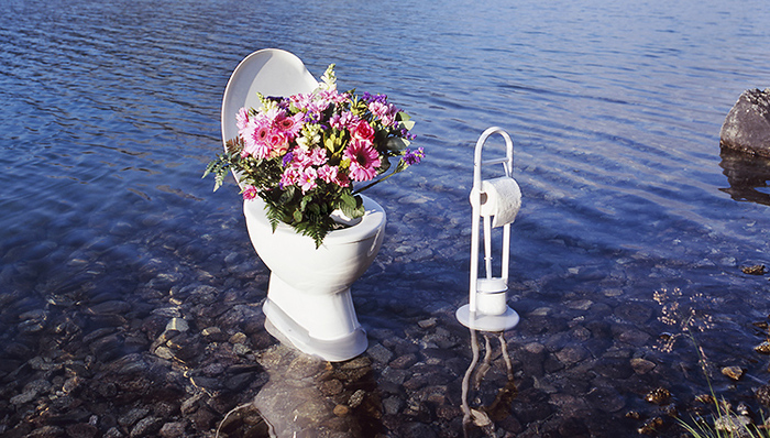 厕所革命,酷工业