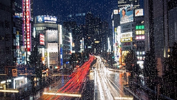 日本,东京,新宿,歌舞伎,都市