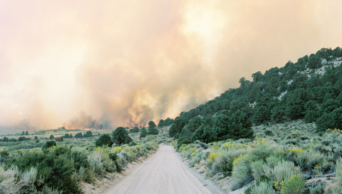 美国,西部,好莱坞,沙漠