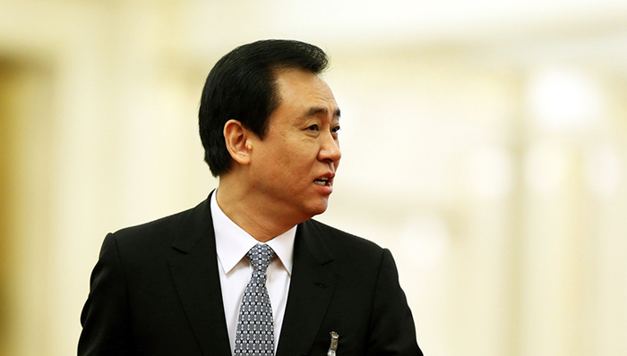 综合性企业,多元化业务,嘉凯城