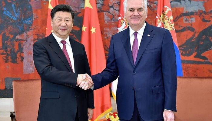 习近平,国友谊,中方愿,互不干涉内政,瓦尔特保卫萨拉热窝,互利合作,双边关系,桥,互鉴,政治互信