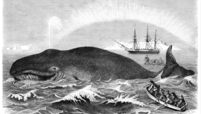 课程,哈佛商学院