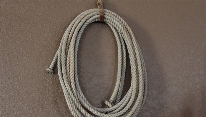 河南省鹤壁市公安局,张文燕,自缢