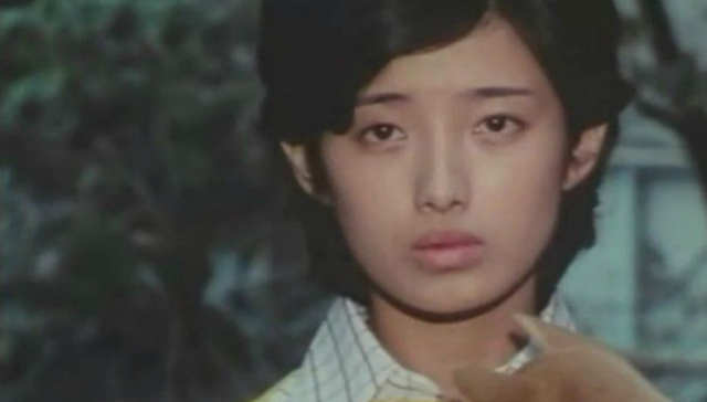 山口百惠,日本,流行文化,偶像,血疑