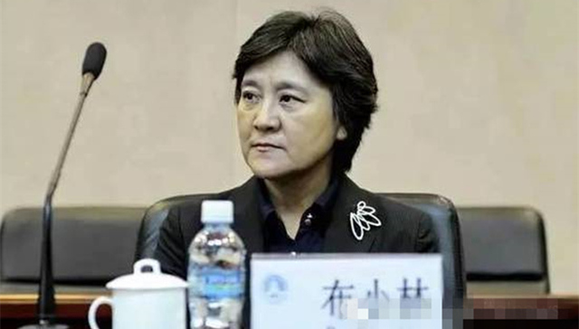 内蒙，乌兰夫、布小林