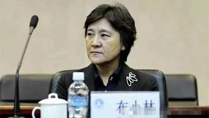 内蒙，乌兰夫、布小林