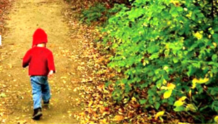 福特,环保,长安福特,车圈观察