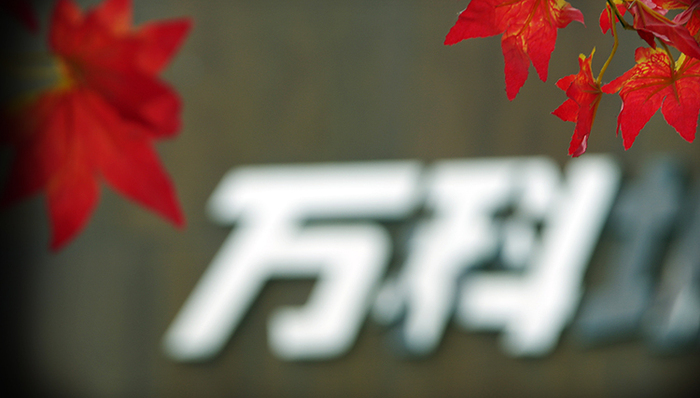 华生详解万科董事会