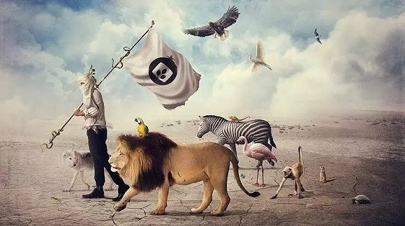 动物解放,动物保护组织,动物专家,,纵欲与虚无之上,宠物,共同性