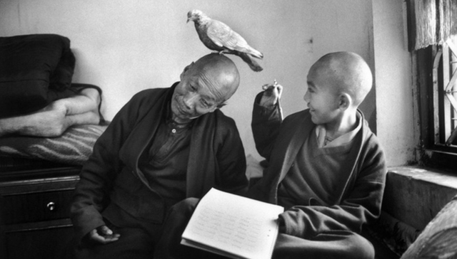 深度的瞬间：为什么一些照片让人如此难忘，另一些则不